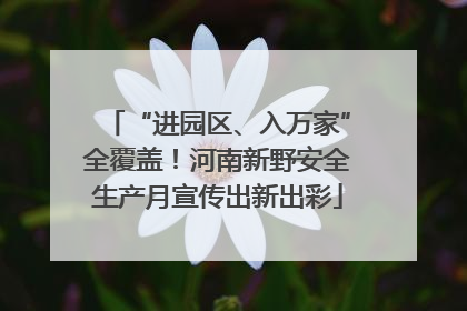 “进园区、入万家”全覆盖！河南新野安全生产月宣传出新出彩