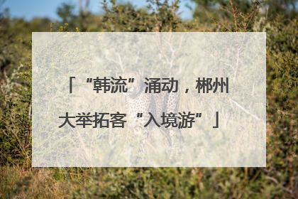 “韩流”涌动，郴州大举拓客“入境游”