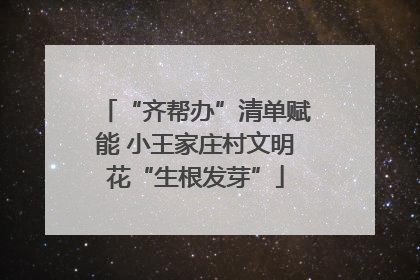 “齐帮办”清单赋能 小王家庄村文明花“生根发芽”