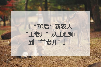 “70后”新农人“王老开”从工程师到“羊老开”