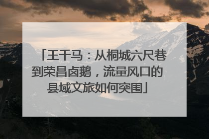 王千马：从桐城六尺巷到荣昌卤鹅，流量风口的县域文旅如何突围
