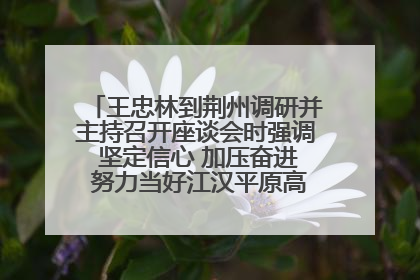 王忠林到荆州调研并主持召开座谈会时强调 坚定信心 加压奋进 努力当好江汉平原高质量发展排头兵