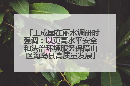 王成国在丽水调研时强调：以更高水平安全和法治环境服务保障山区海岛县高质量发展