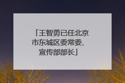 王智勇已任北京市东城区委常委、宣传部部长