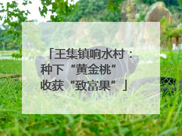王集镇响水村：种下“黄金桃” 收获“致富果”
