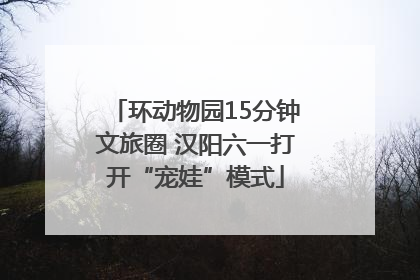 环动物园15分钟文旅圈 汉阳六一打开“宠娃”模式