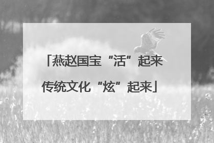 燕赵国宝“活”起来 传统文化“炫”起来