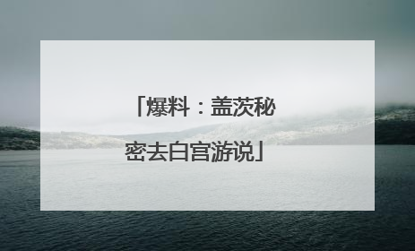 爆料：盖茨秘密去白宫游说