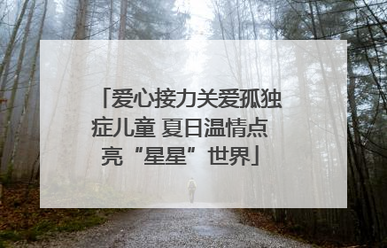 爱心接力关爱孤独症儿童 夏日温情点亮“星星”世界