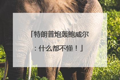 特朗普炮轰鲍威尔：什么都不懂！