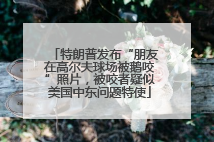 特朗普发布“朋友在高尔夫球场被鹅咬”照片，被咬者疑似美国中东问题特使