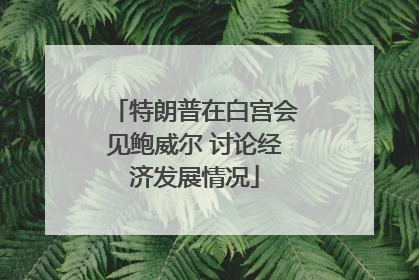 特朗普在白宫会见鲍威尔 讨论经济发展情况