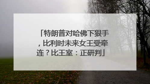 特朗普对哈佛下狠手，比利时未来女王受牵连？比王室：正研判