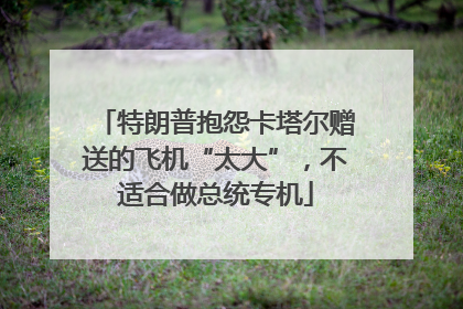 特朗普抱怨卡塔尔赠送的飞机“太大”，不适合做总统专机