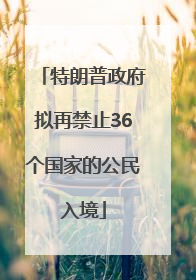 特朗普政府拟再禁止36个国家的公民入境