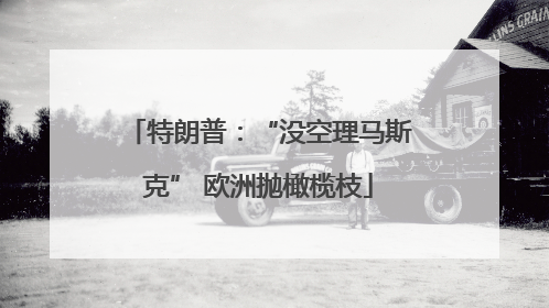 特朗普：“没空理马斯克” 欧洲抛橄榄枝