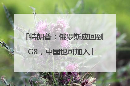 特朗普：俄罗斯应回到G8，中国也可加入