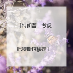 特朗普：考虑把特斯拉移走