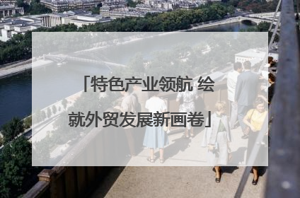 特色产业领航 绘就外贸发展新画卷