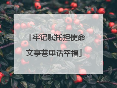 牢记嘱托担使命 文亭巷里话幸福