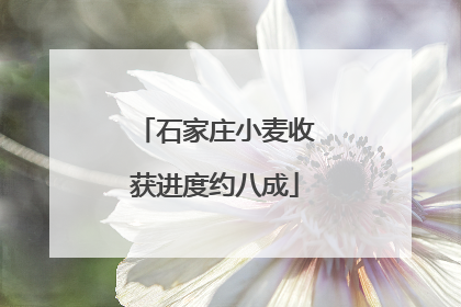 石家庄小麦收获进度约八成