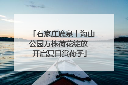 石家庄鹿泉丨海山公园万株荷花绽放 开启夏日赏荷季
