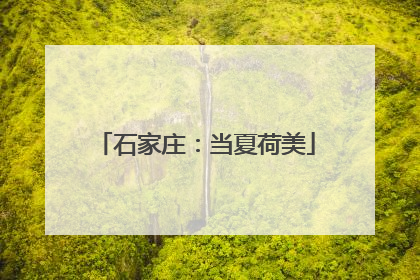石家庄：当夏荷美