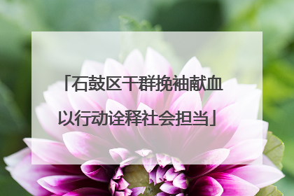 石鼓区干群挽袖献血 以行动诠释社会担当