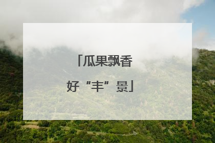 瓜果飘香 好“丰”景