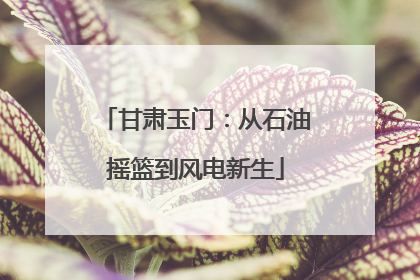 甘肃玉门：从石油摇篮到风电新生