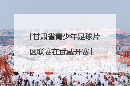 甘肃省青少年足球片区联赛在武威开赛