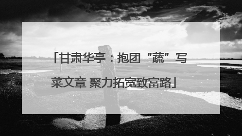 甘肃华亭：抱团“蔬”写菜文章 聚力拓宽致富路