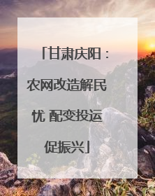 甘肃庆阳：农网改造解民忧 配变投运促振兴
