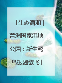 生态潇湘｜萱洲国家湿地公园：新生鹭鸟振翅欲飞