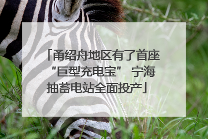 甬绍舟地区有了首座“巨型充电宝” 宁海抽蓄电站全面投产