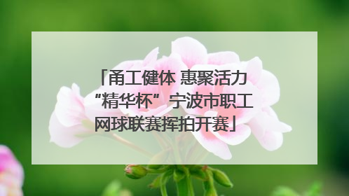 甬工健体 惠聚活力“精华杯”宁波市职工网球联赛挥拍开赛