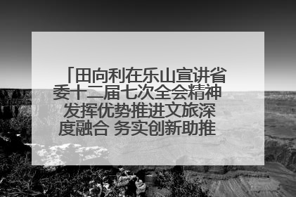 田向利在乐山宣讲省委十二届七次全会精神 发挥优势推进文旅深度融合 务实创新助推高质量发展