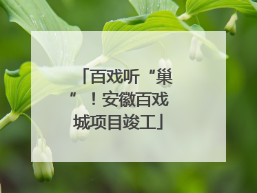 百戏听“巢”！安徽百戏城项目竣工