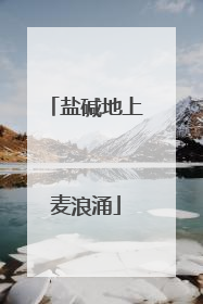 盐碱地上麦浪涌