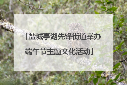 盐城亭湖先锋街道举办端午节主题文化活动