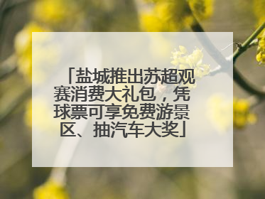 盐城推出苏超观赛消费大礼包，凭球票可享免费游景区、抽汽车大奖