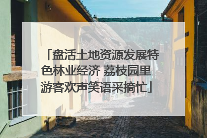 盘活土地资源发展特色林业经济 荔枝园里游客欢声笑语采摘忙