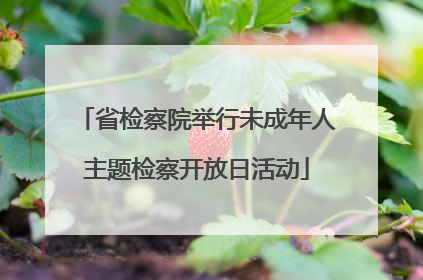 省检察院举行未成年人主题检察开放日活动