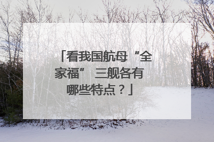 看我国航母“全家福” 三舰各有哪些特点？