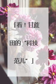 看！甘蔗田的“科技范儿”