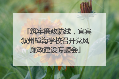 筑牢廉政防线，宜宾叙州樟海学校召开党风廉政建设专题会