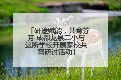 研途赋能，共育芬芳 成都龙泉二小与这所学校开展家校共育研讨活动