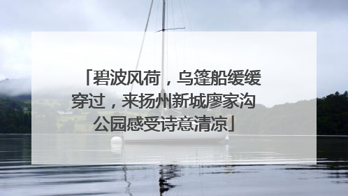 碧波风荷，乌篷船缓缓穿过，来扬州新城廖家沟公园感受诗意清凉