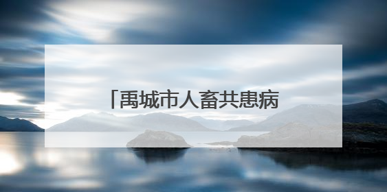 禹城市人畜共患病防控微电影进乡村