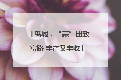 禹城：“蒜”出致富路 丰产又丰收